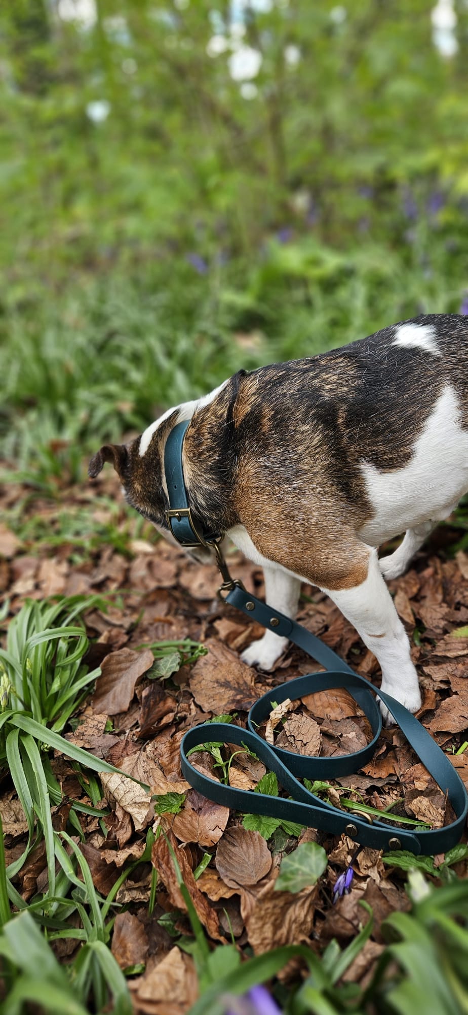 THE BENJI | Classic Dog Lead