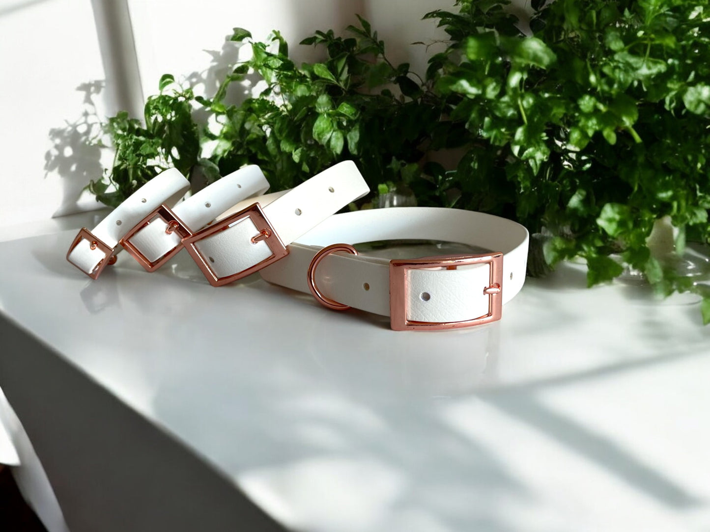 THE LOLA | Classic Dog Collar