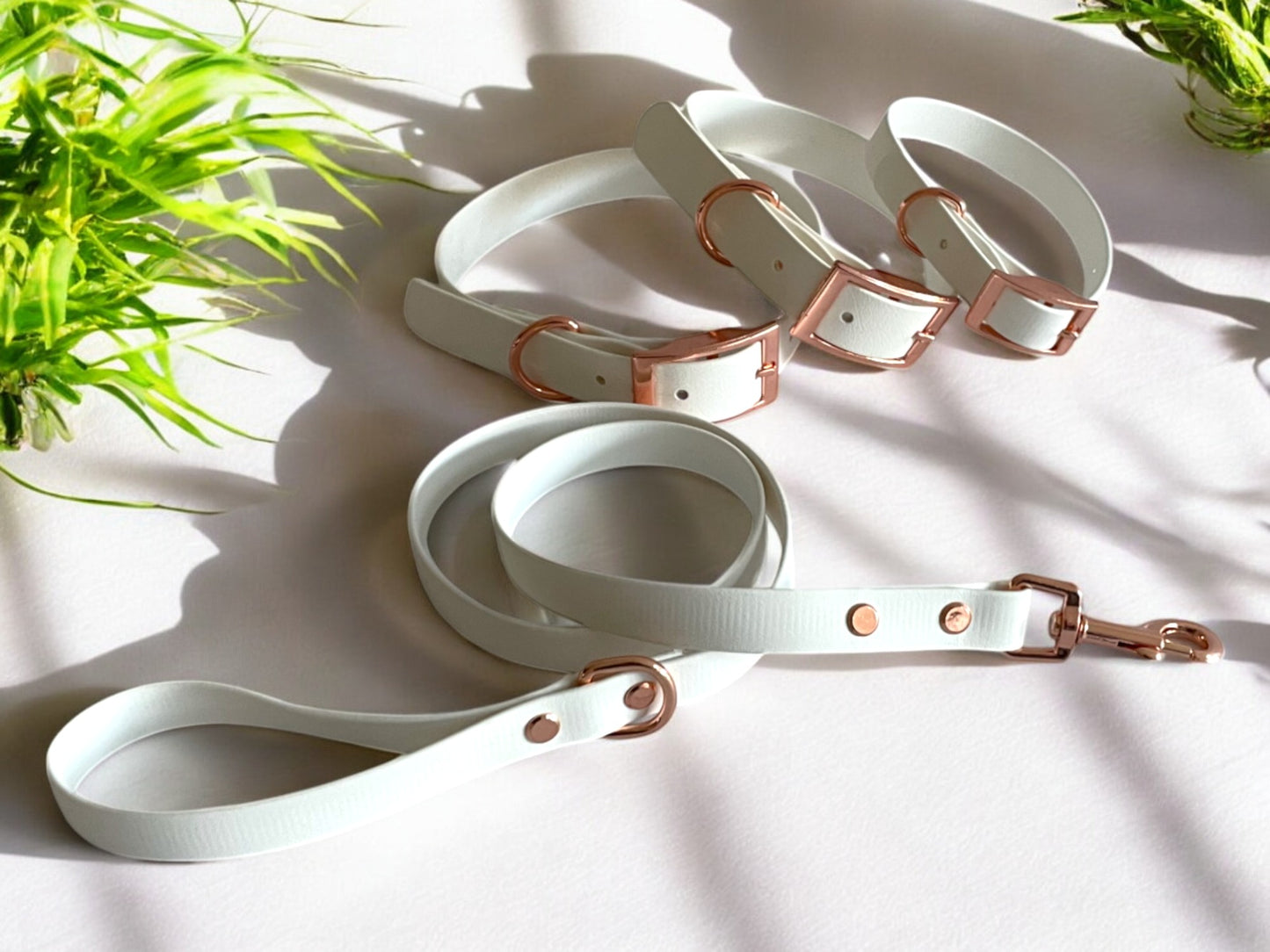 THE LOLA | Classic Dog Collar