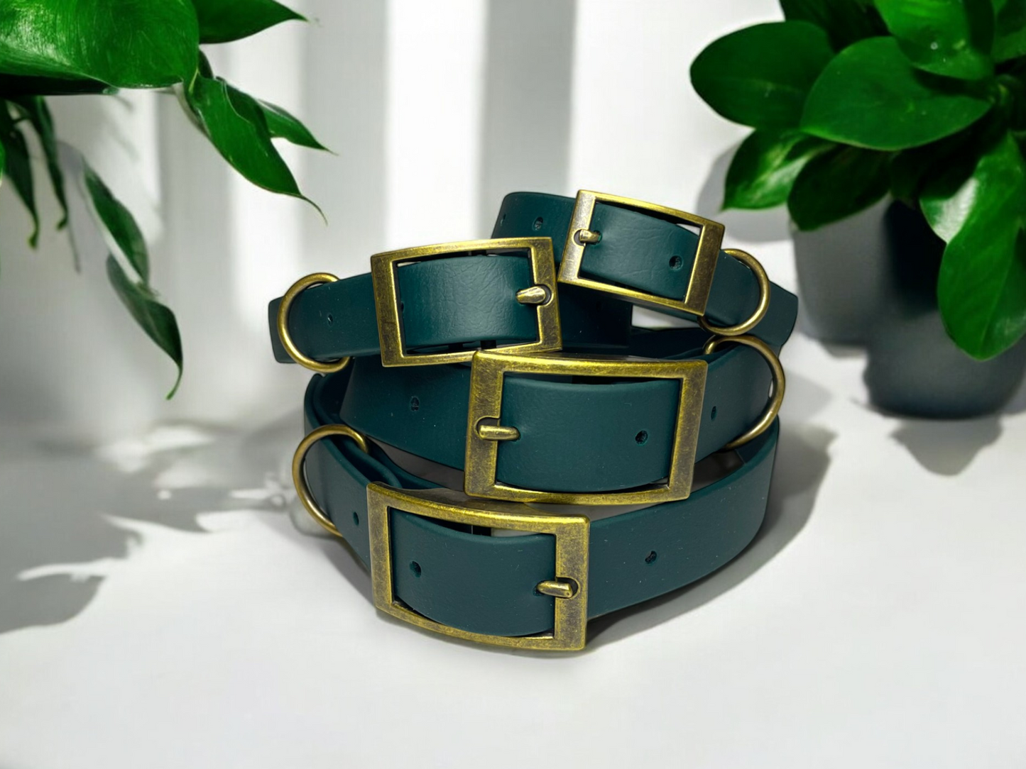 THE BENJI | Classic Dog Collar