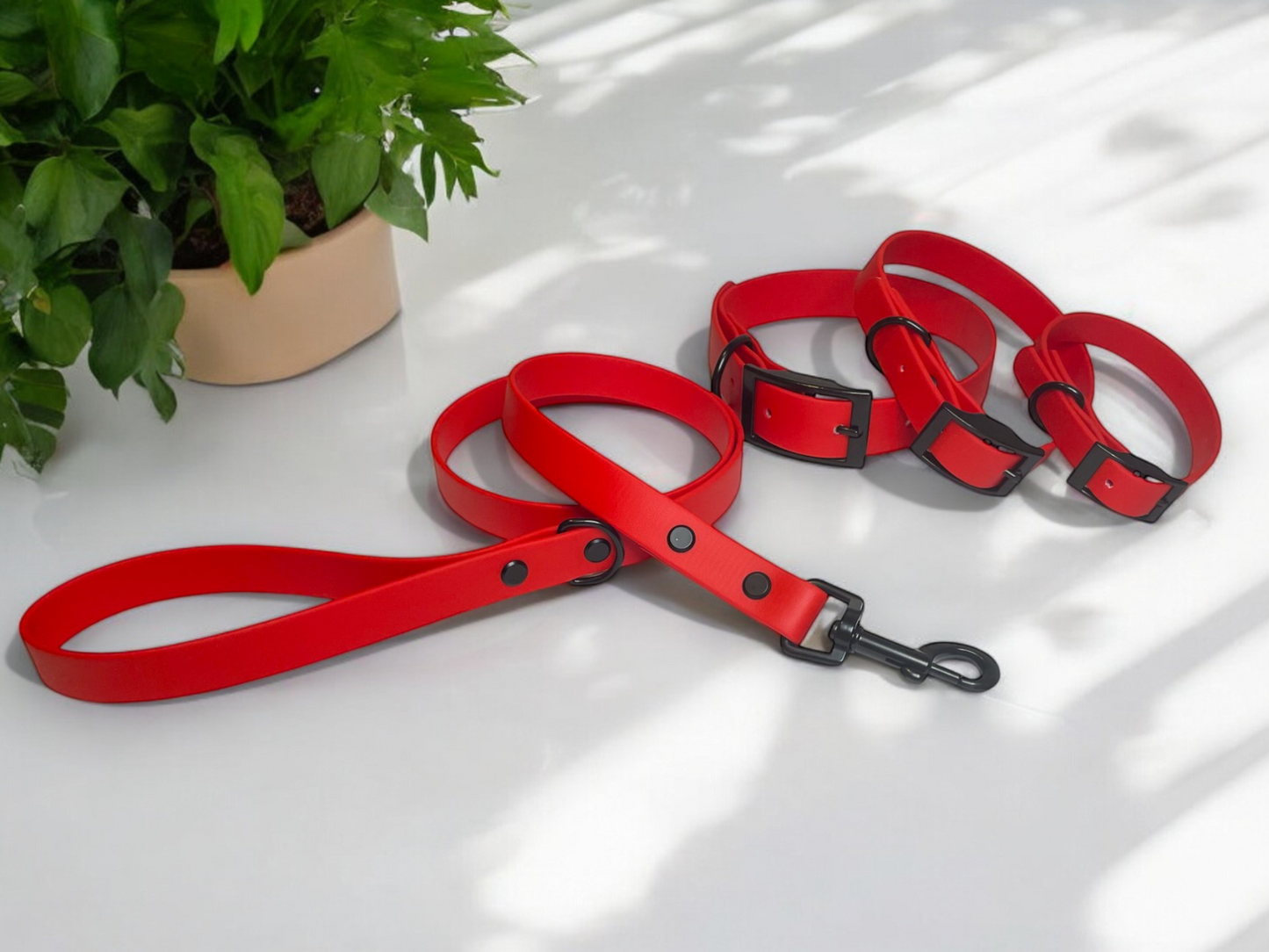 THE MARLEY | Classic Dog Collar