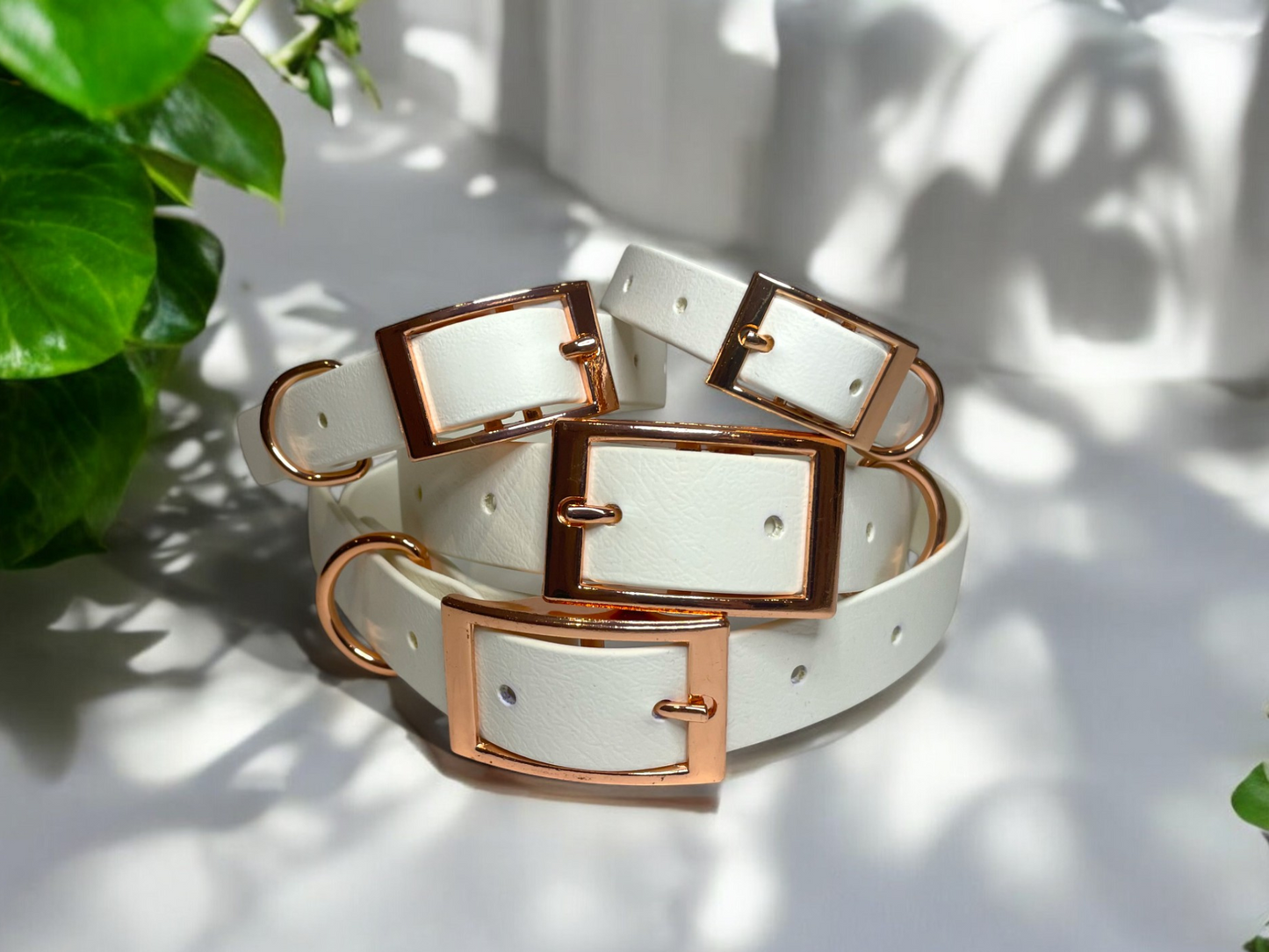 THE LOLA | Classic Dog Collar