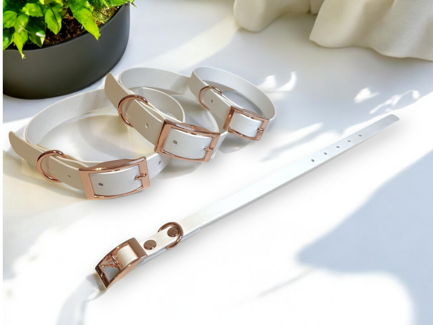 THE LOLA | Classic Dog Collar
