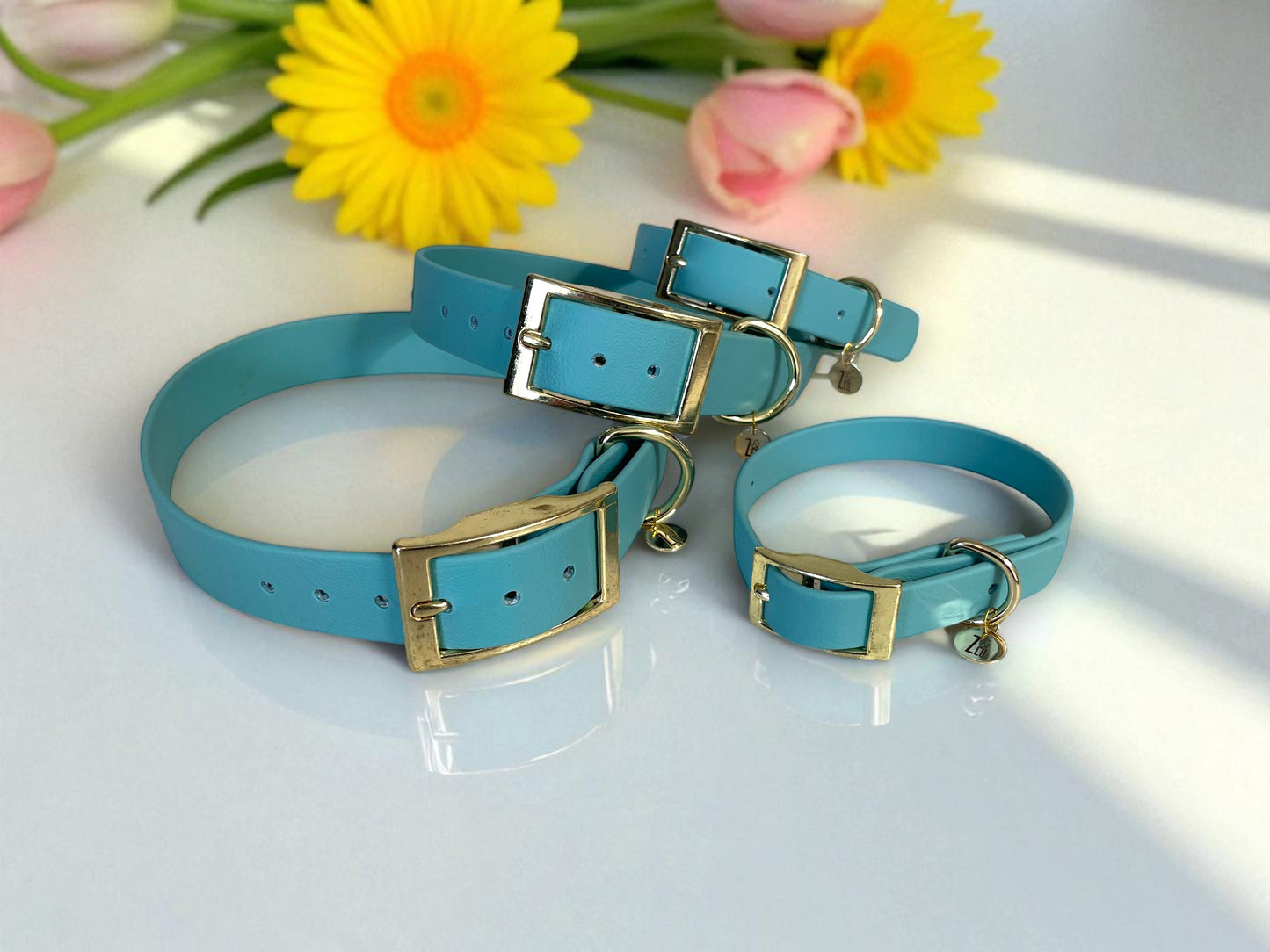 THE TURQUOISE | Pastel Dog Collar