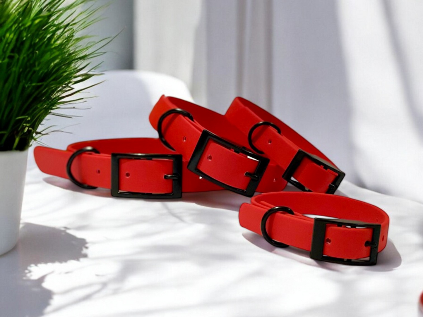 THE MARLEY | Classic Dog Collar