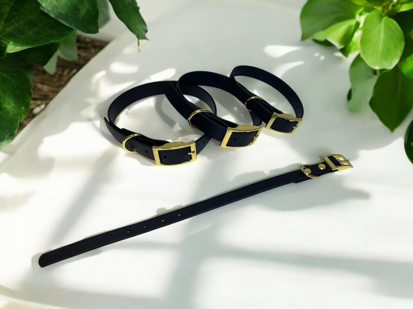 THE CHARLIE | Classic Dog Collar