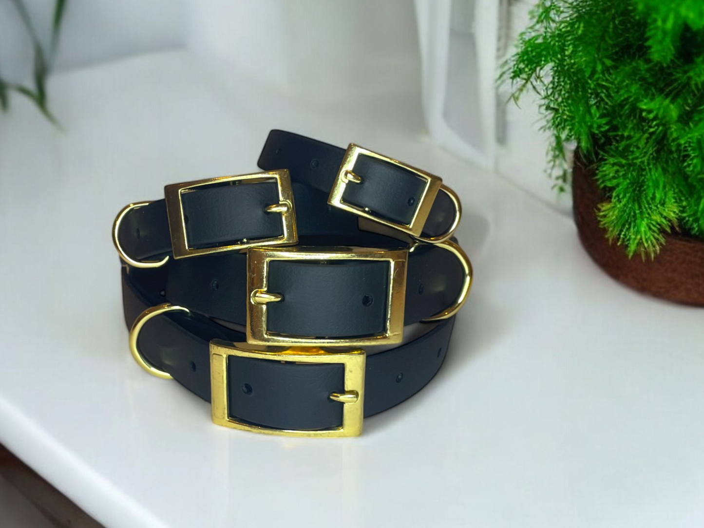 THE CHARLIE | Classic Dog Collar