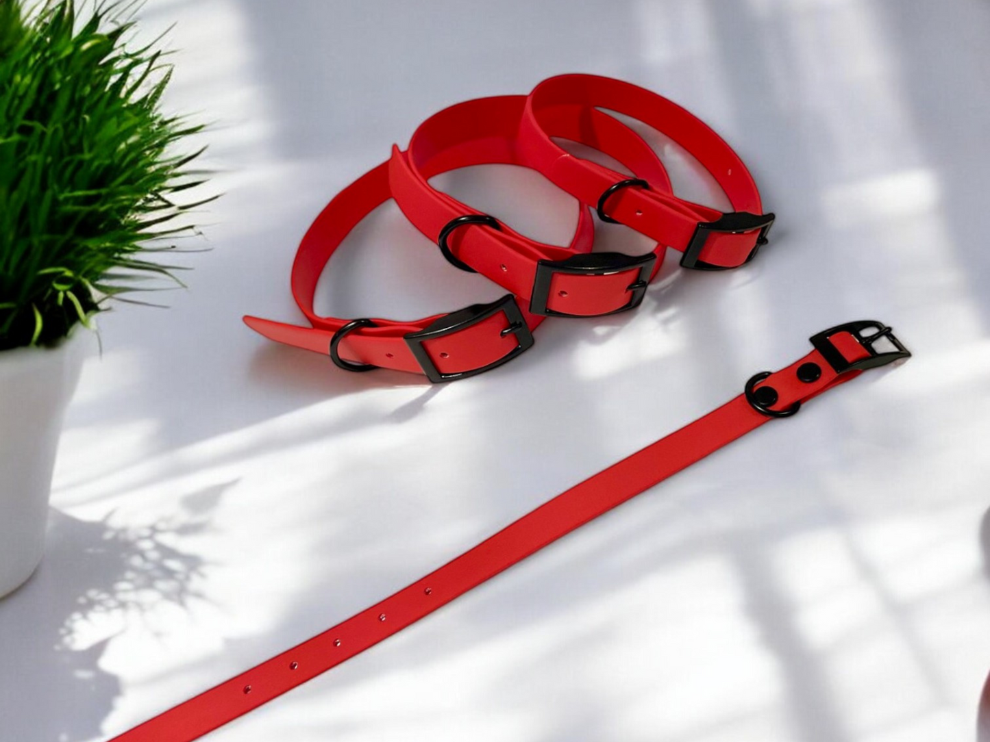 THE MARLEY | Classic Dog Collar