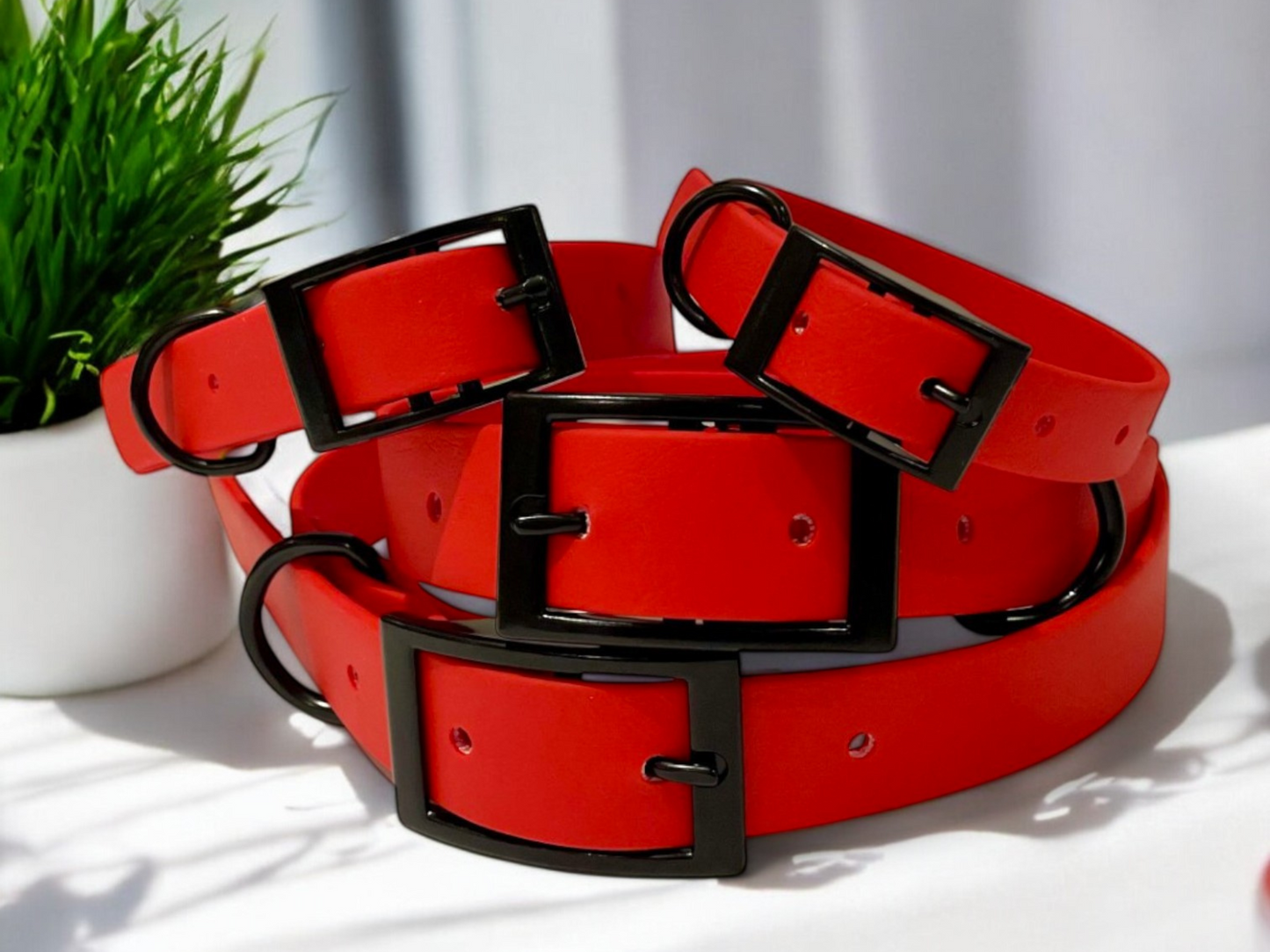 THE MARLEY | Classic Dog Collar