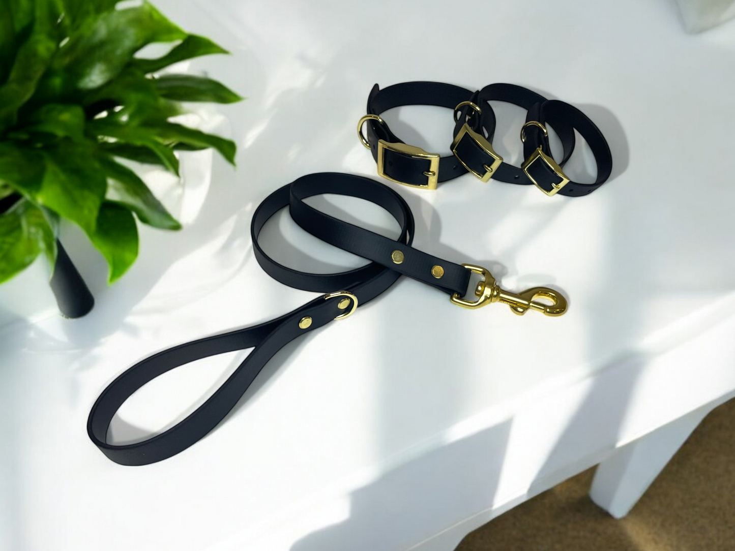 THE CHARLIE | Classic Dog Collar