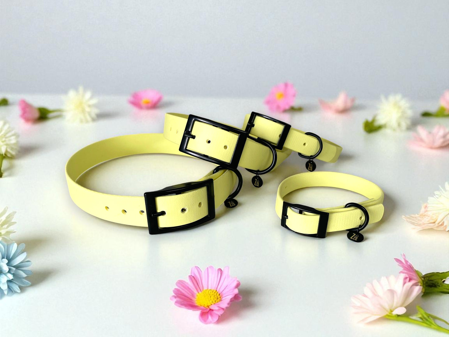 THE DAISY | Pastel Dog Collar