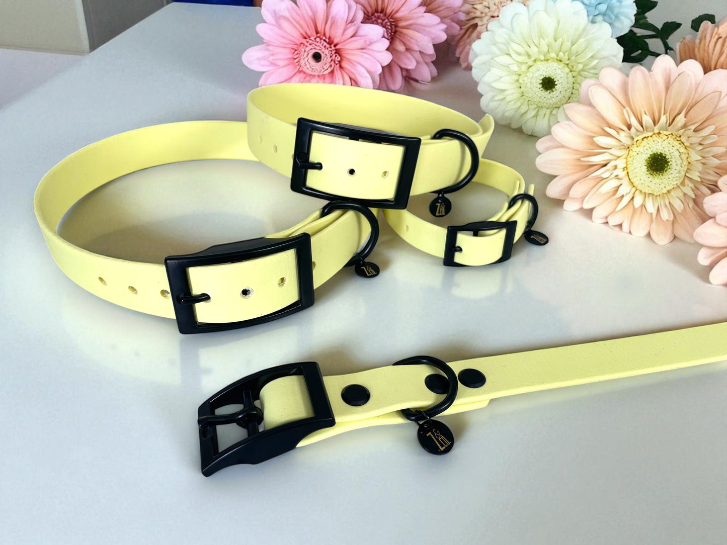 THE DAISY | Pastel Dog Collar