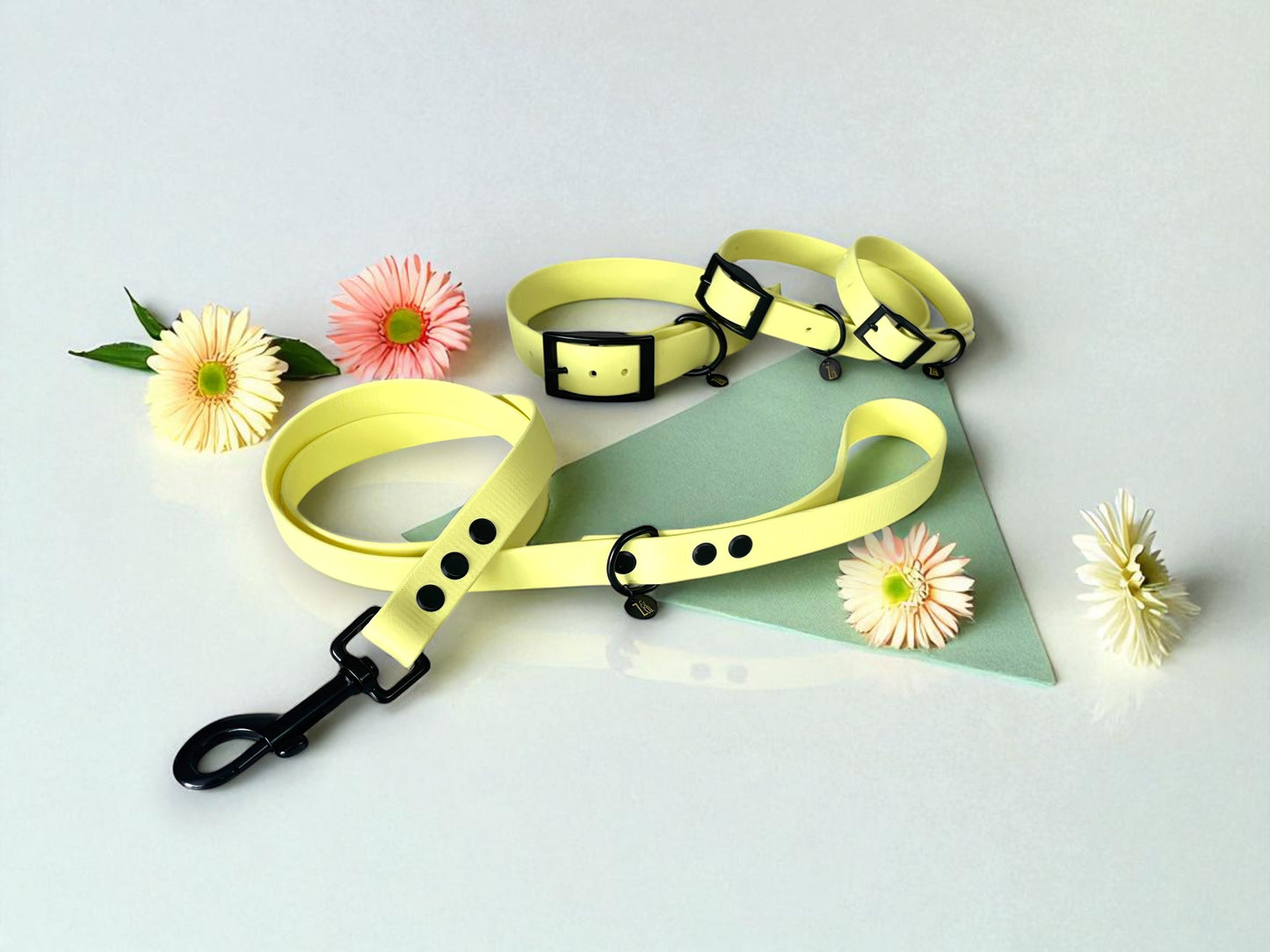 THE DAISY | Pastel Dog Collar