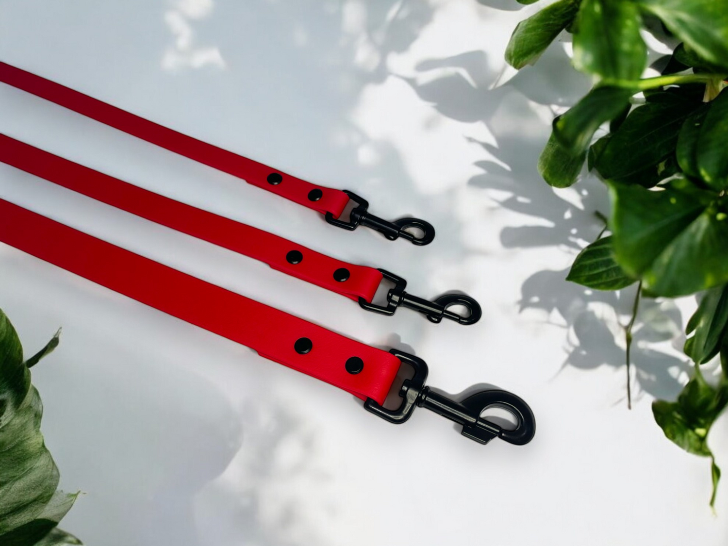 The Classic Lead Collection