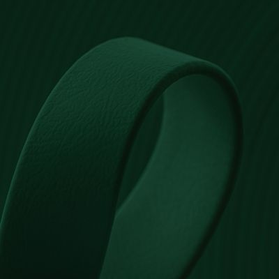 THE BENJI | Classic Dog Collar