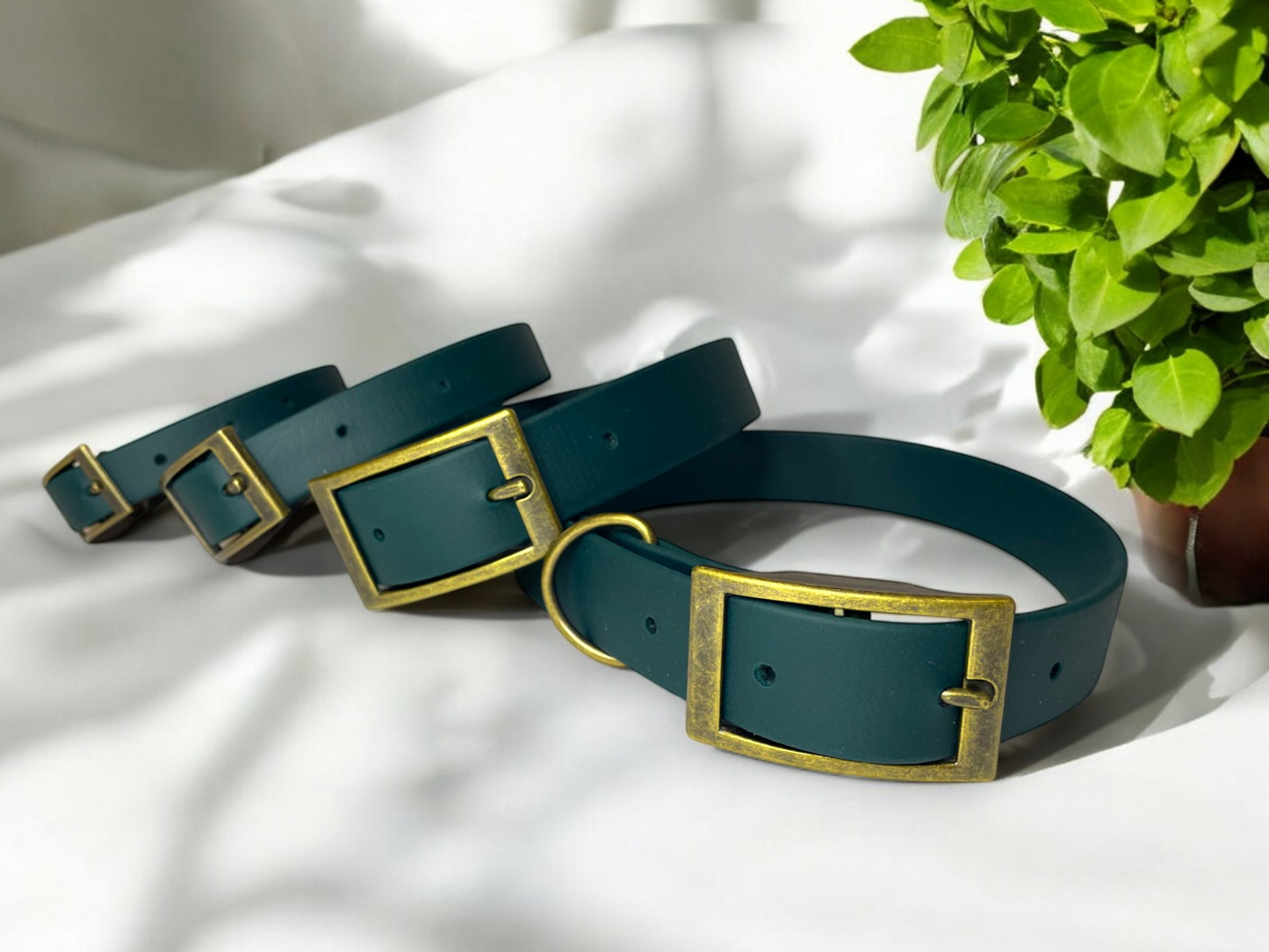 THE BENJI | Classic Dog Collar