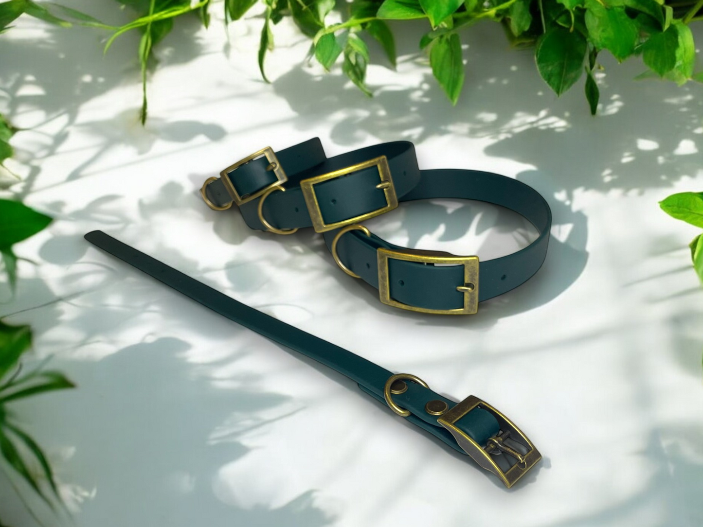 THE BENJI | Classic Dog Collar