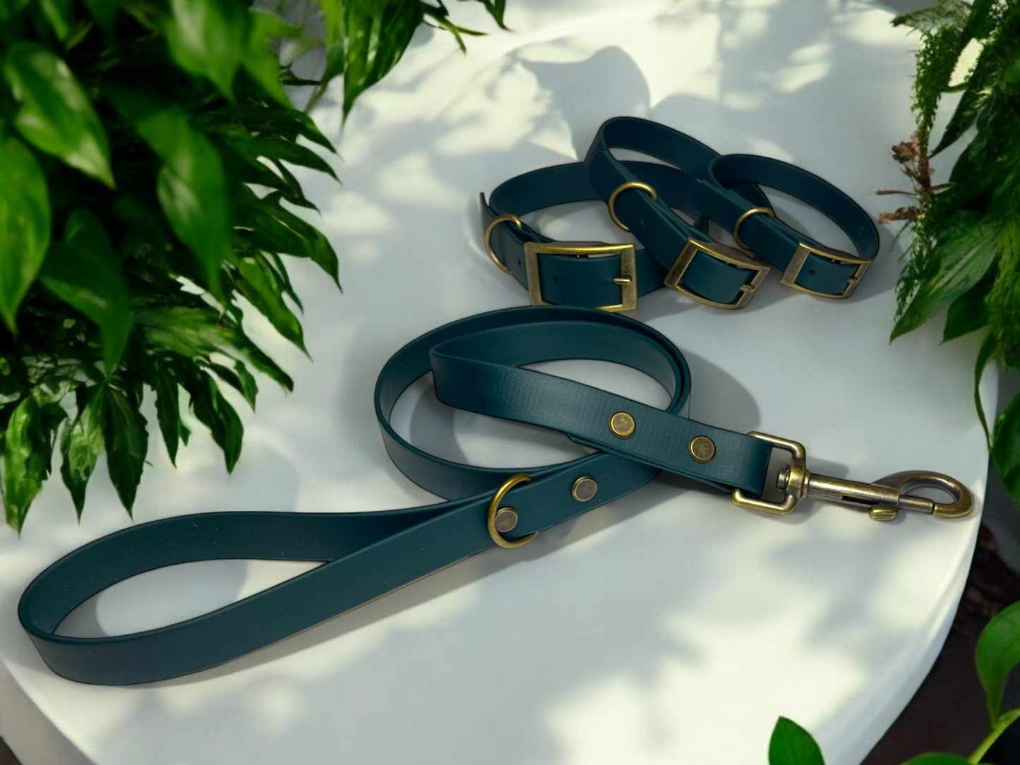 THE BENJI | Classic Dog Collar