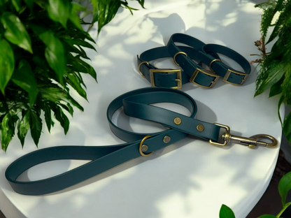THE BENJI | Classic Dog Collar