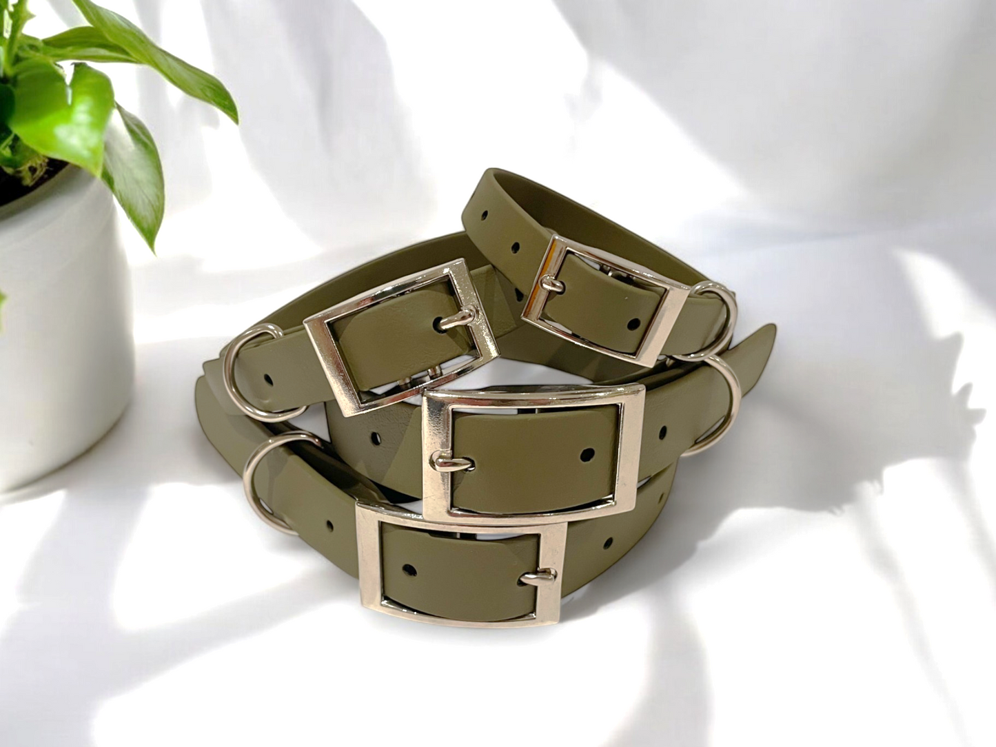 THE ZERO | Classic Dog Collar