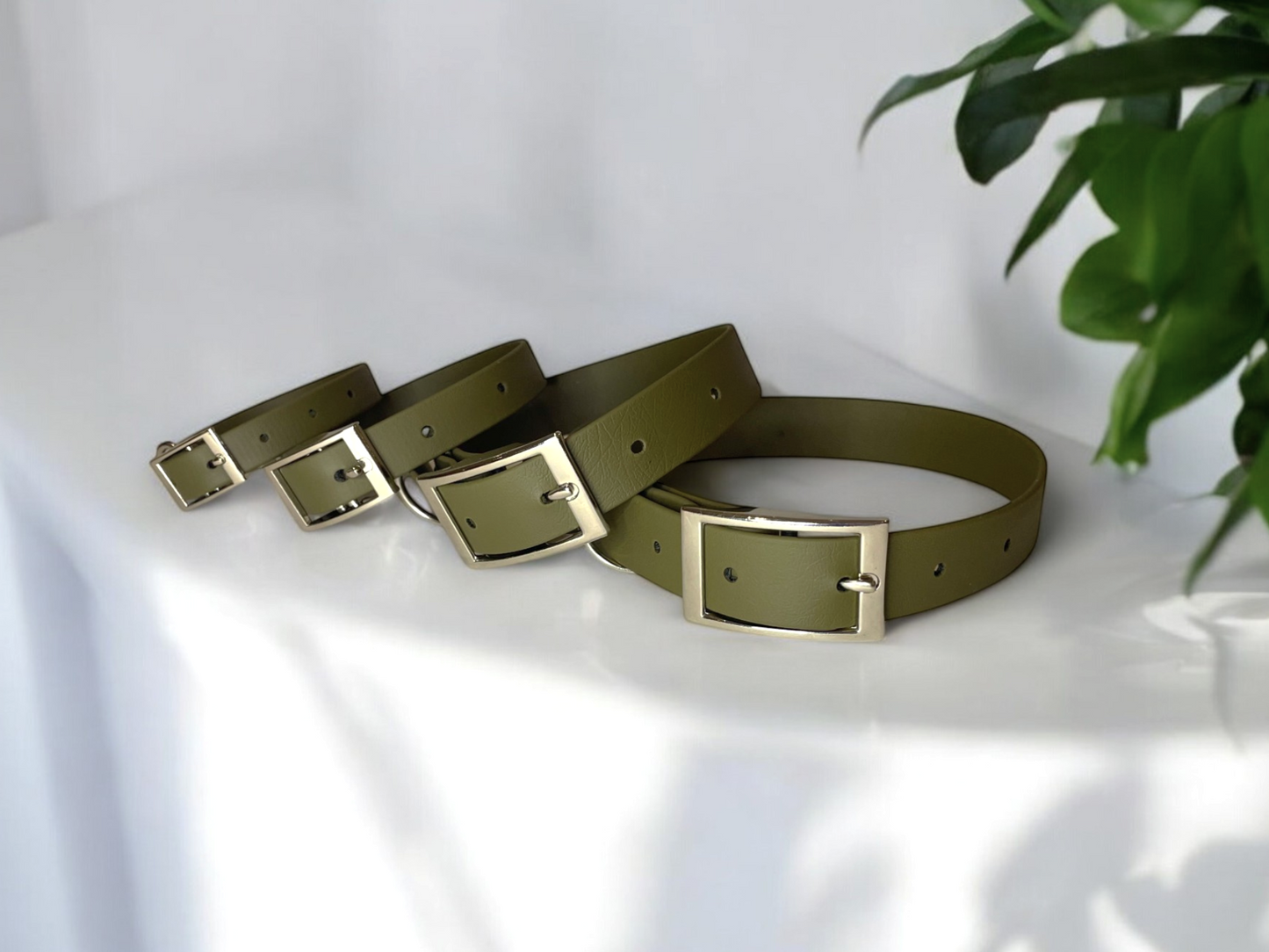 THE ZERO | Classic Dog Collar