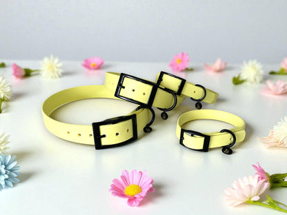 THE DAISY | Pastel Dog Collar