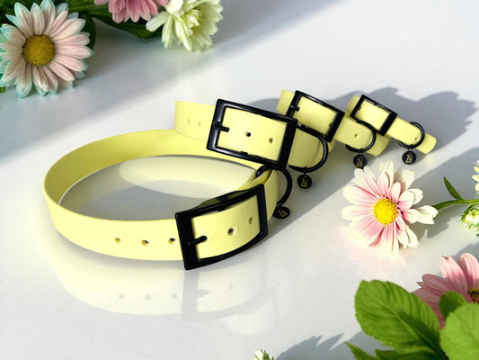 THE DAISY | Pastel Dog Collar