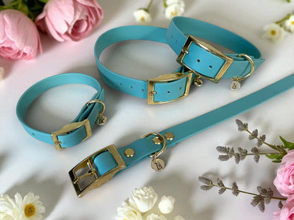 THE TURQUOISE | Pastel Dog Collar