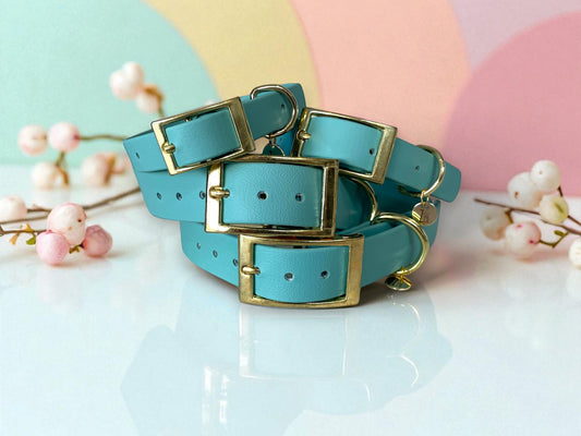 THE TURQUOISE | Pastel Dog Collar